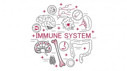 9 choses qui affaiblissent le système immunitaire